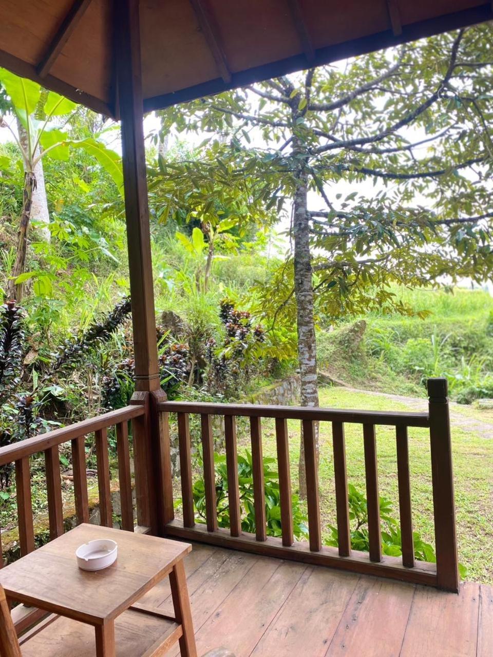 Uma D'Nyuh Homestay Singaraja Exterior foto